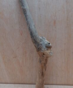 Java Wood - Single Stem - Medium 7