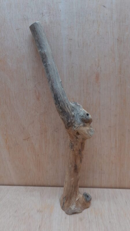 Java Wood - Single Stem - Medium 7