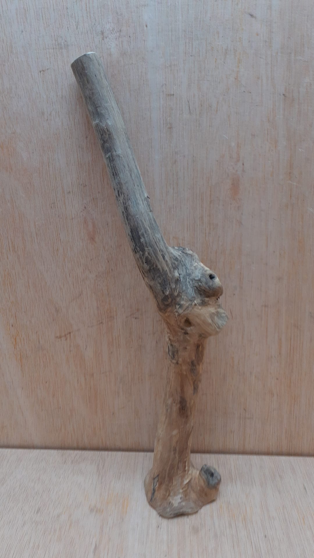 Java Wood - Single Stem - Medium 7