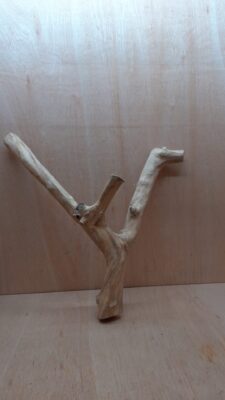 Java Wood - Double Stem - XL 6