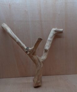 Java Wood - Double Stem - XL 6