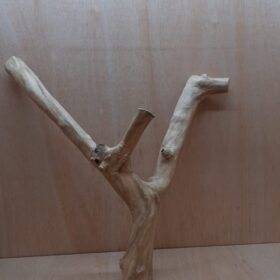 Java Wood - Double Stem - XL 6