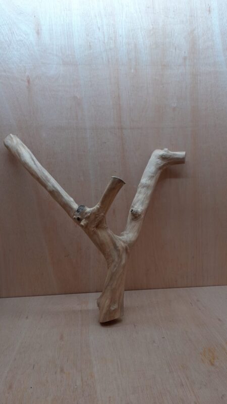 Java Wood - Double Stem - XL 6