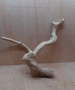 Java Wood - Double Stem - XL 3