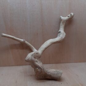 Java Wood - Double Stem - XL 3