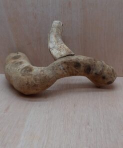 Bamboo Root - Medium - 3