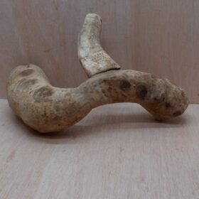 Bamboo Root - Medium - 3