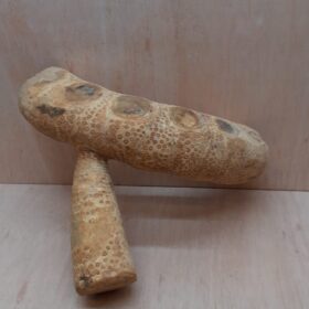 Bamboo Root - Medium - 5