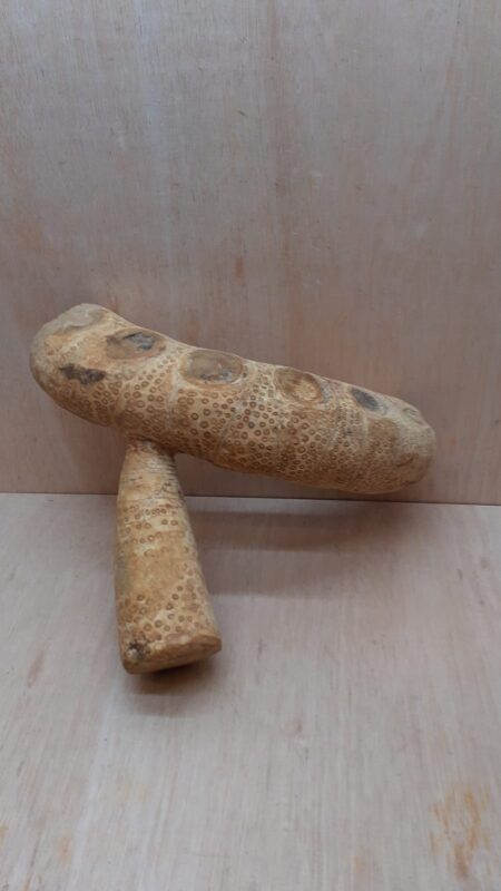 Bamboo Root - Medium - 5