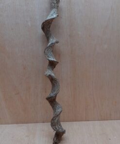 Curved Liana - Short - 5