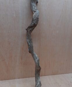 Curved Liana - Short - 10