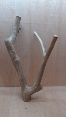 Java Wood - Double Stem - XL 1