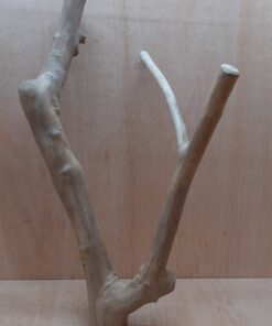 Java Wood - Double Stem - XL 1