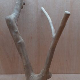 Java Wood - Double Stem - XL 1