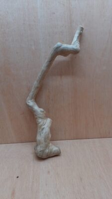 Java Wood - Single Stem - Large 1