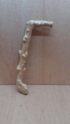 Java Wood - Single Stem - Large 5