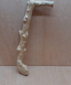 Java Wood - Single Stem - Large 5