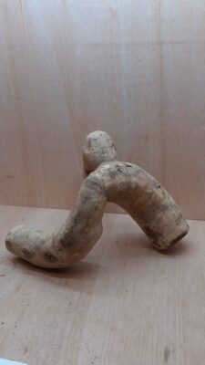 Bamboo Root - Medium - 2