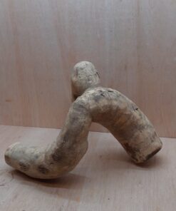 Bamboo Root - Medium - 2