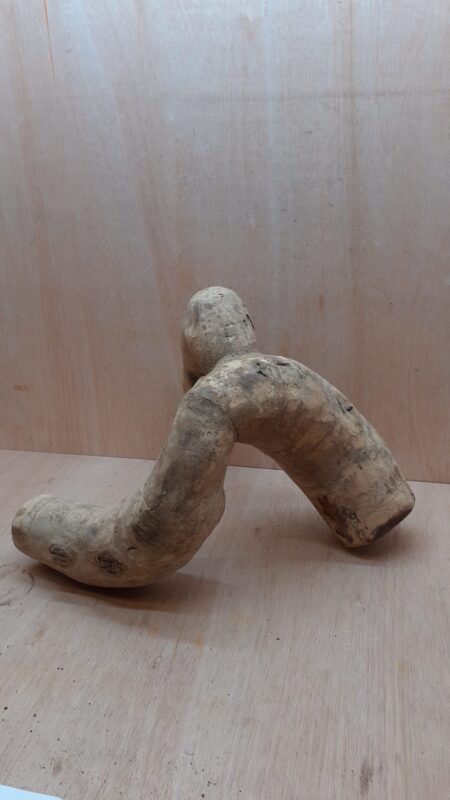 Bamboo Root - Medium - 2