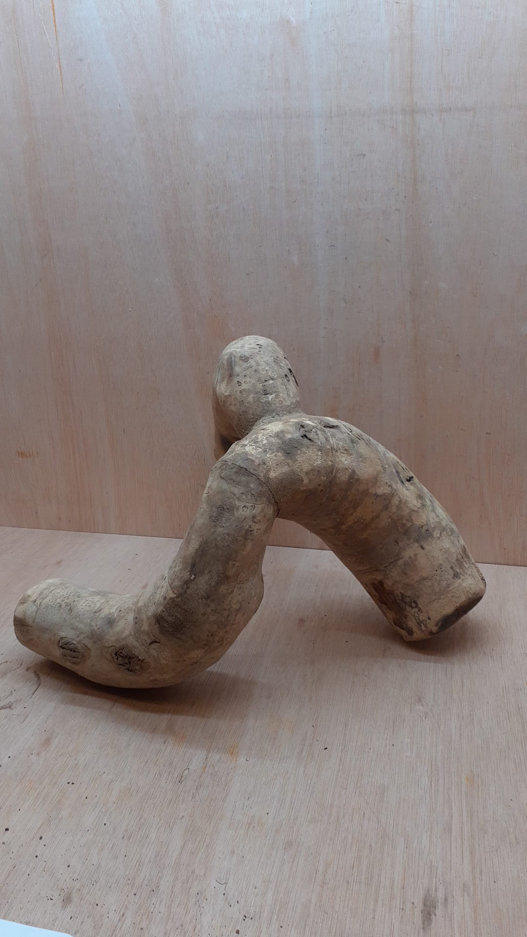 Bamboo Root - Medium - 2