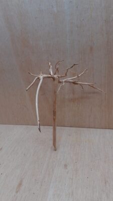 Spiderwood Small 3