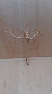 Spiderwood Medium 8