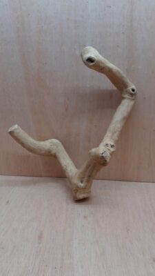 Java Wood - Double Stem - Medium 6