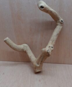 Java Wood - Double Stem - Medium 6