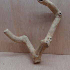 Java Wood - Double Stem - Medium 6