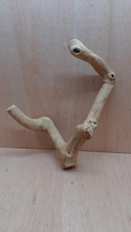 Java Wood - Double Stem - Medium 6