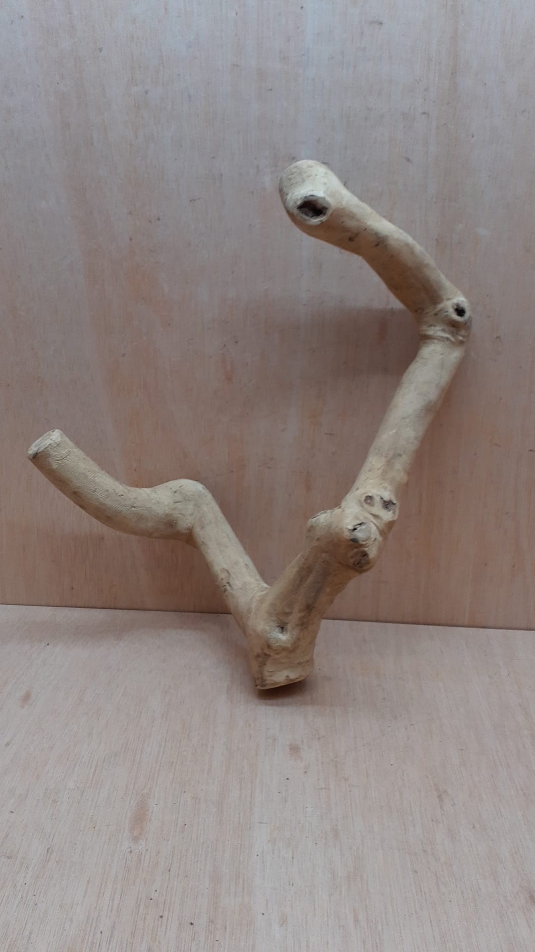 Java Wood - Double Stem - Medium 6