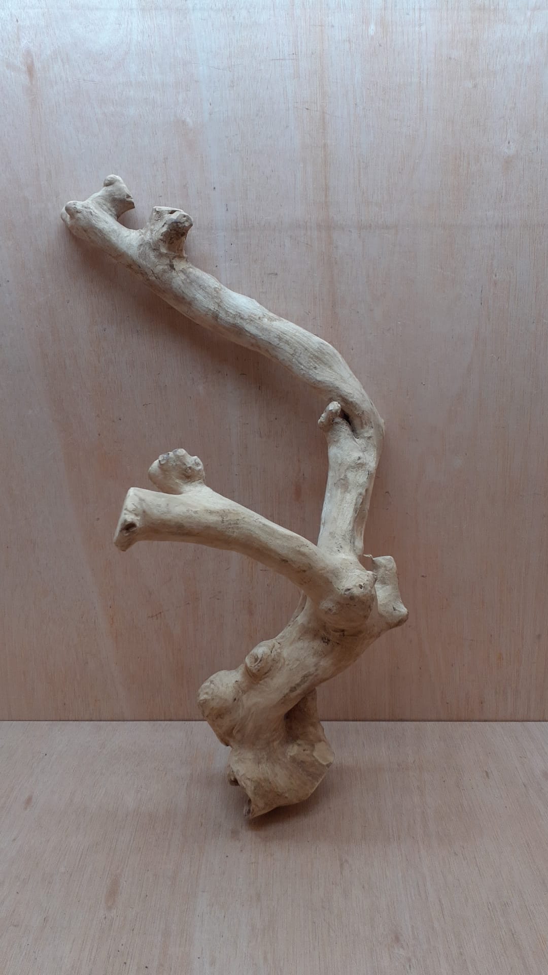 Java Wood - Double Stem - XL 10