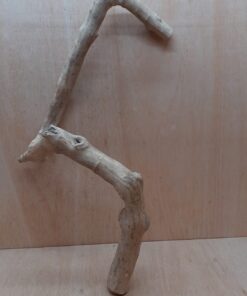 Java Wood - Single Stem - XL 9