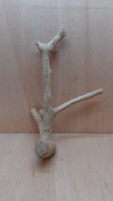 Java Wood - Double Stem - Large 1
