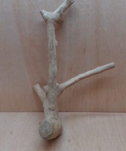 Java Wood - Double Stem - Large 1