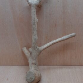 Java Wood - Double Stem - Large 1