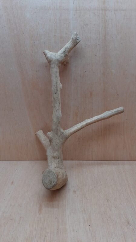 Java Wood - Double Stem - Large 1