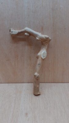 Java Wood - Single Stem - Small 4