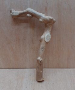 Java Wood - Single Stem - Small 4