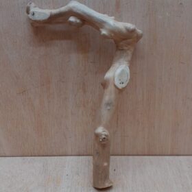 Java Wood - Single Stem - Small 4