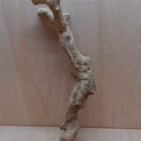 Java Wood - Single Stem - Large 9