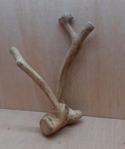 Java Wood - Double Stem - Large 2