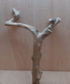 Java Wood - Double Stem - Large 6