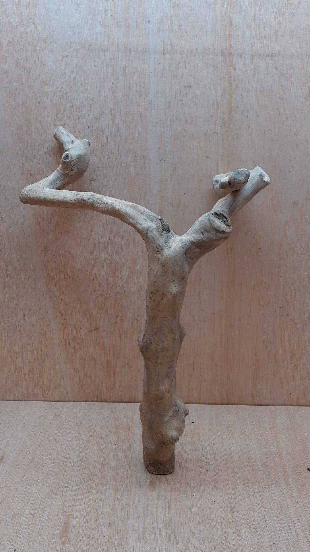 Java Wood - Double Stem - Large 6