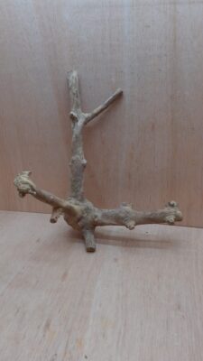 Java Wood - Double Stem - Large 8