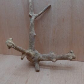 Java Wood - Double Stem - Large 8