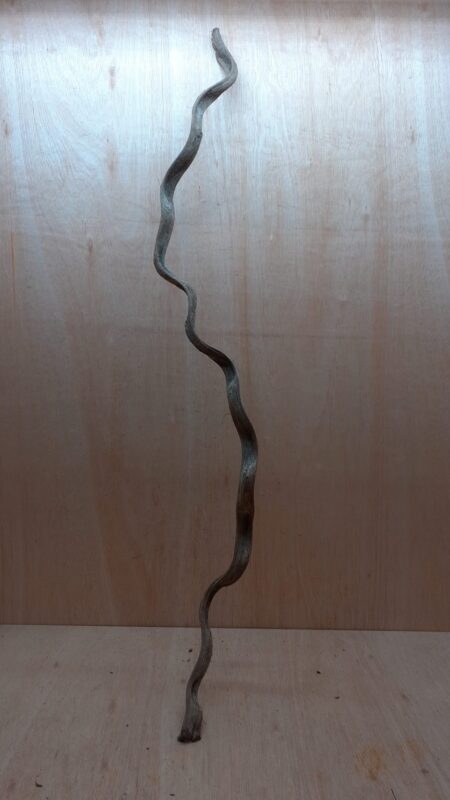 Monkey Ladder Liana - Long - 1