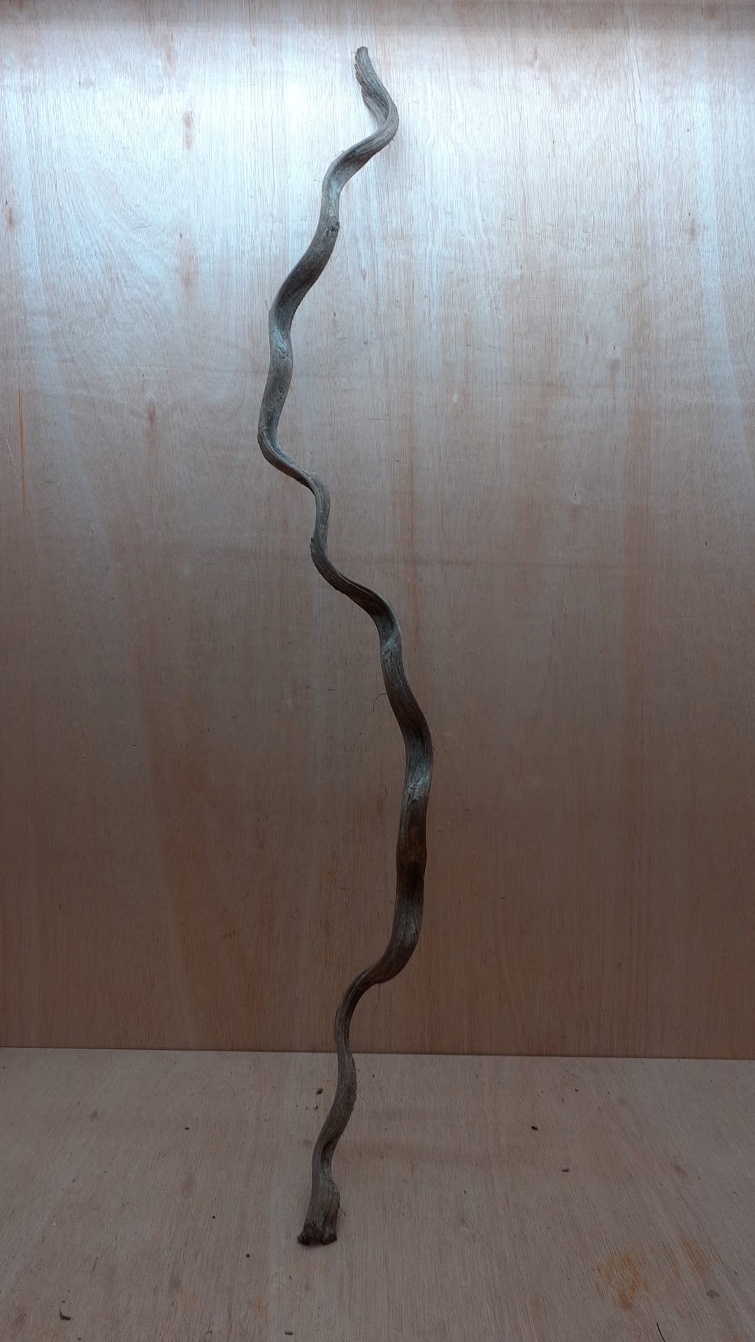 Monkey Ladder Liana - Long - 1