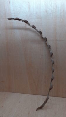 Monkey Ladder Liana - Long - 2